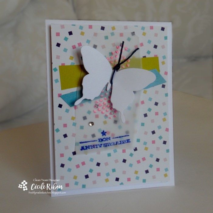 carte-fms259-dscn6666