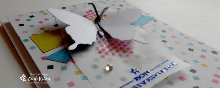 carte-fms259-dscn6678