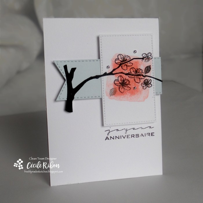 carte-fms260-dscn6795