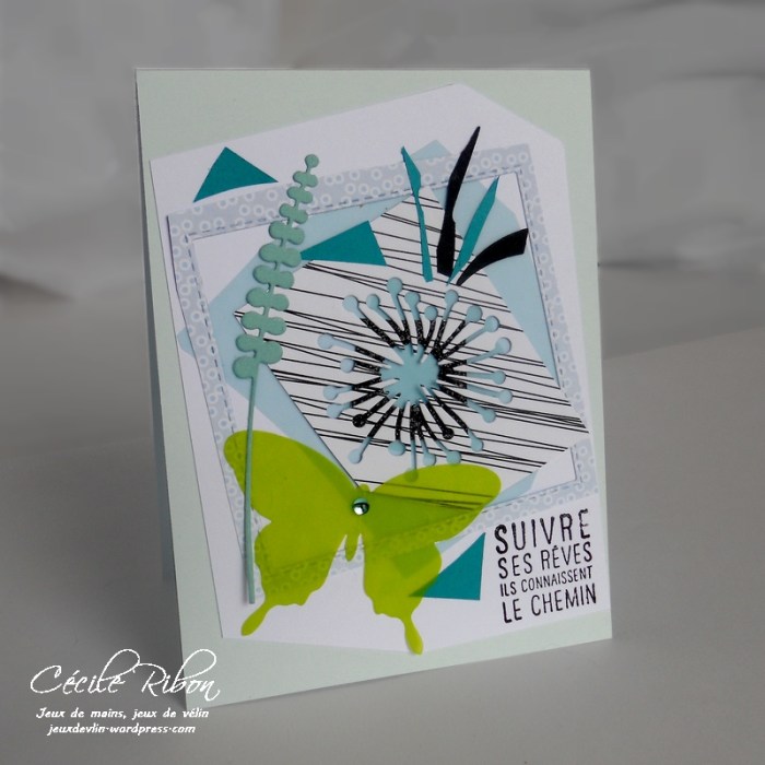 carte-maniak140-dscn6856