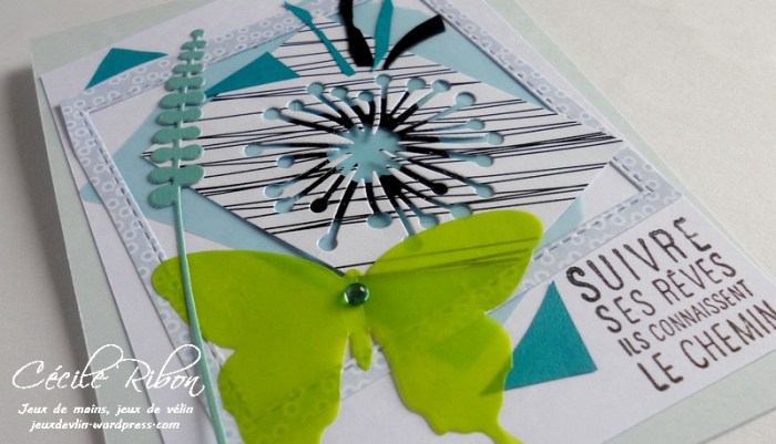 carte-maniak140-dscn6864