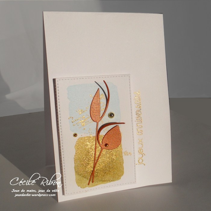 carte-colourq367-dscn7124