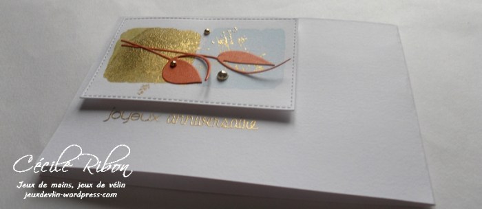 carte-colourq367-dscn7145