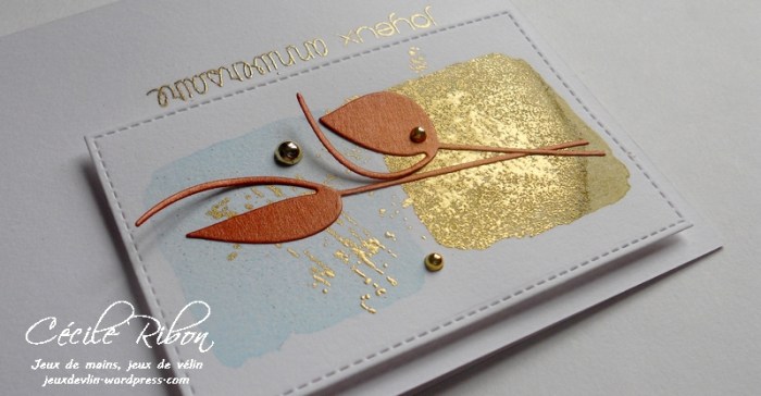 carte-colourq367-dscn7151