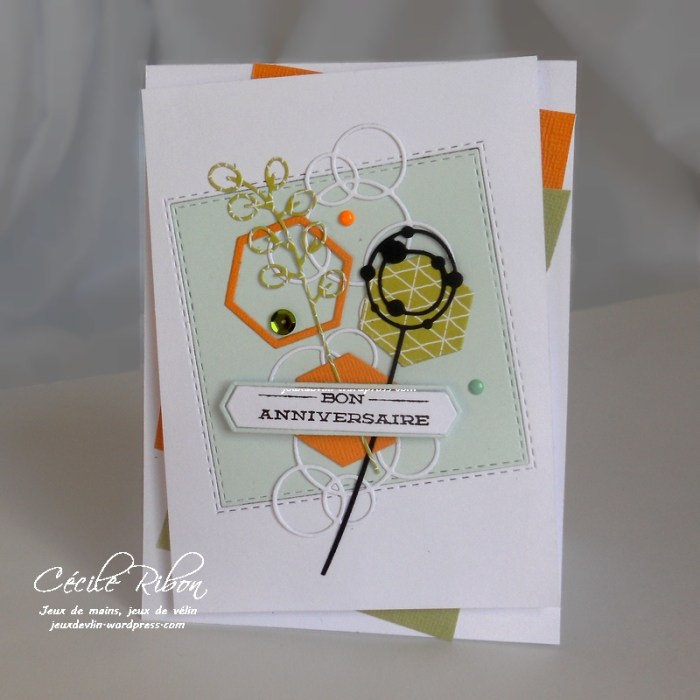 carte-ctd417-dscn6963