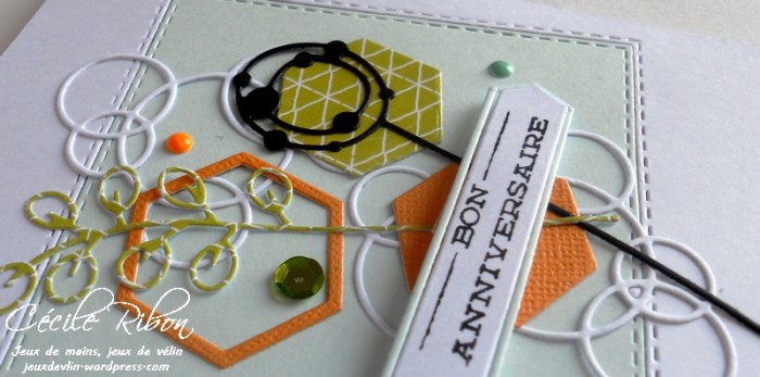 carte-ctd417-dscn6968