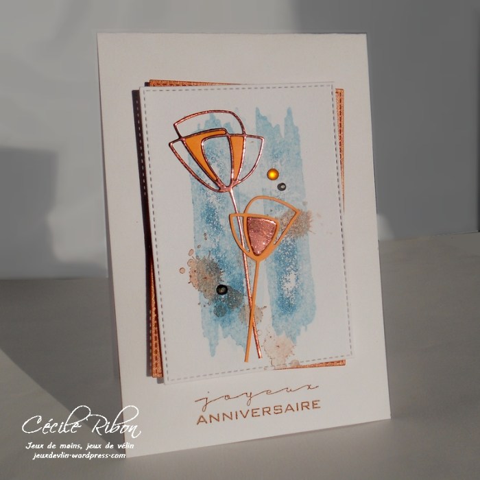 carte-ctd418-dscn7110