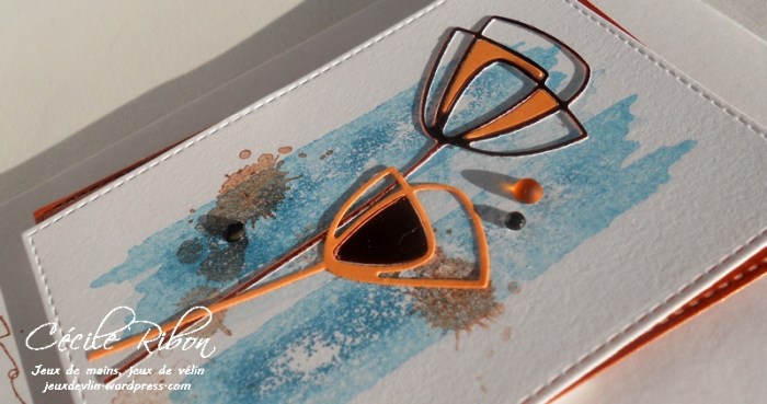 carte-ctd418-dscn7117