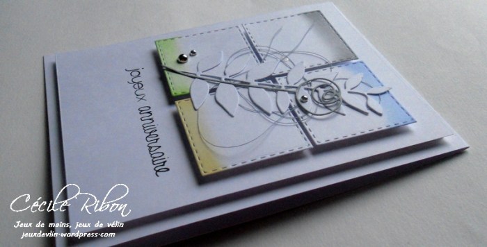 carte-ctd420-dscn7341