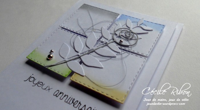 carte-ctd420-dscn7346