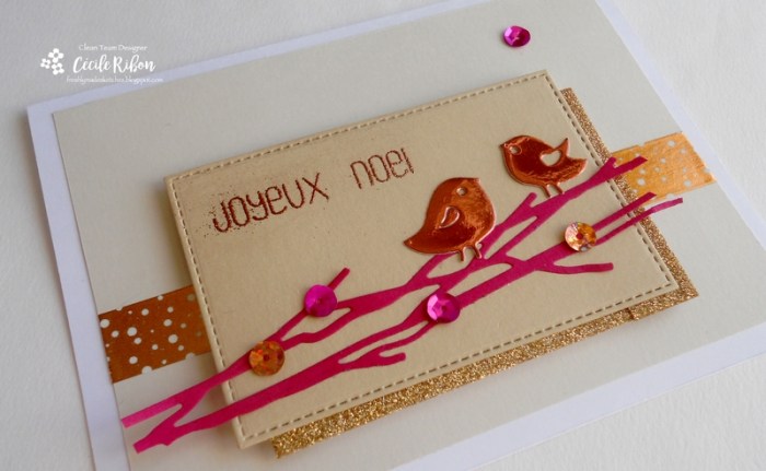 carte-fms261-dscn6920