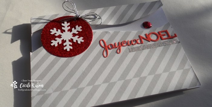 carte-fms262-dscn7030