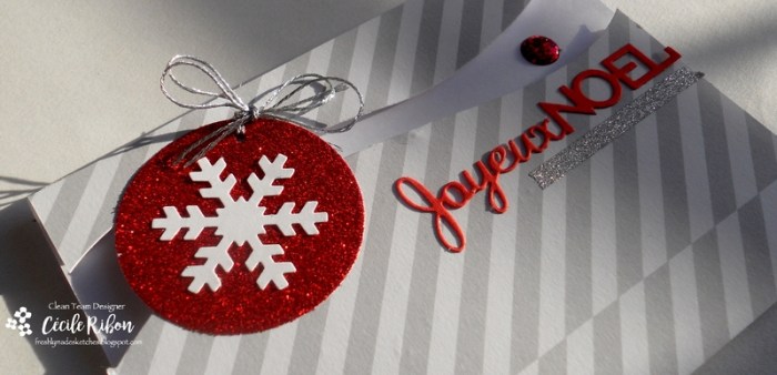 carte-fms262-dscn7033