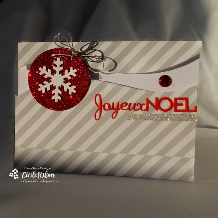 carte-fms262-dscn7062