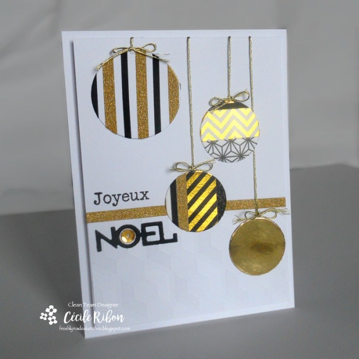 carte-fms263-dscn7166