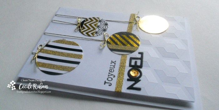 carte-fms263-dscn7173