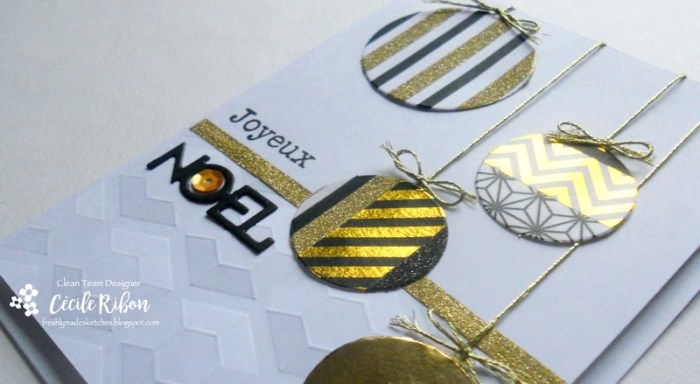 carte-fms263-dscn7175