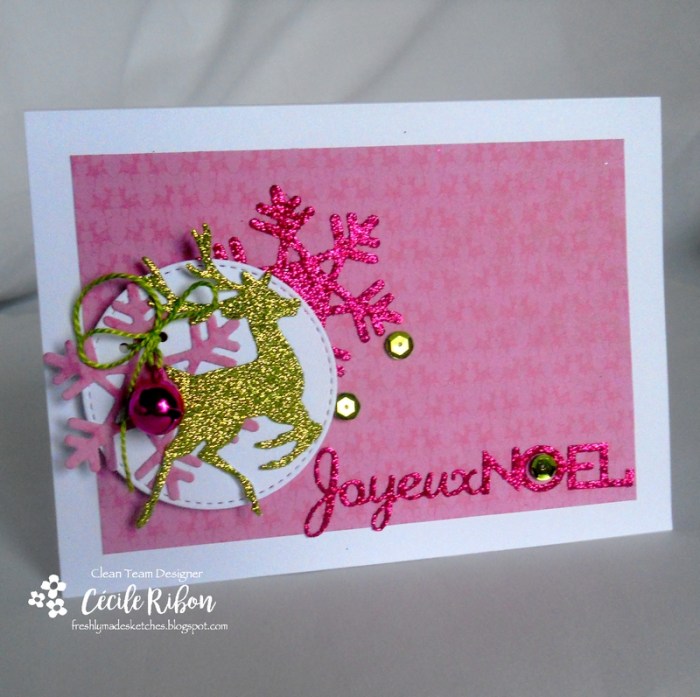 carte-fms264-dscn7265