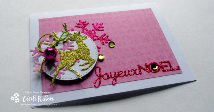 carte-fms264-dscn7278