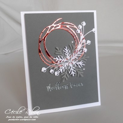 carte-fusion7-dscn7412