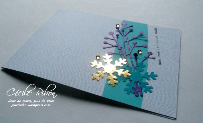 carte-jugs370-dscn7221