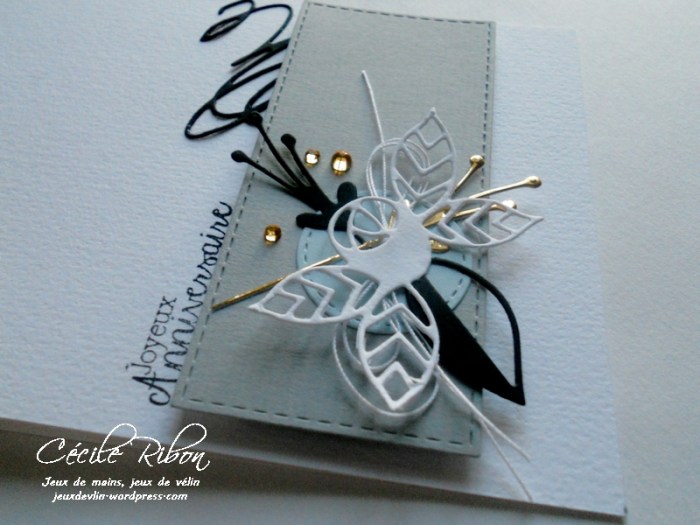 carte-cecile-b-dscn7717