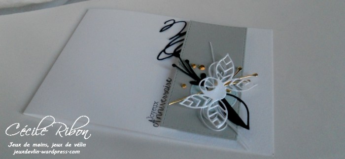 carte-cecile-b-dscn7723