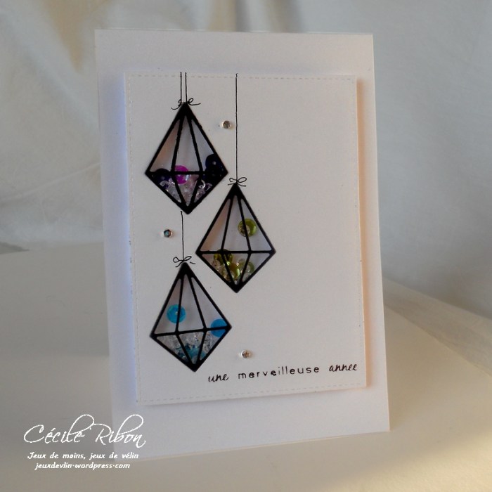 carte-ctd421-dscn7524