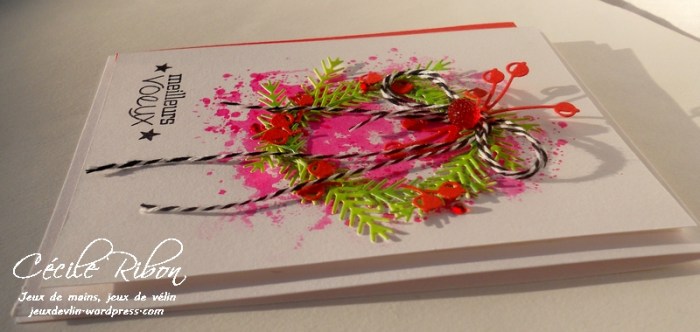 carte-ctd423-dscn7768