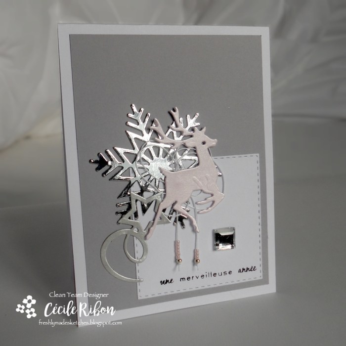 carte-fms266-dscn7390