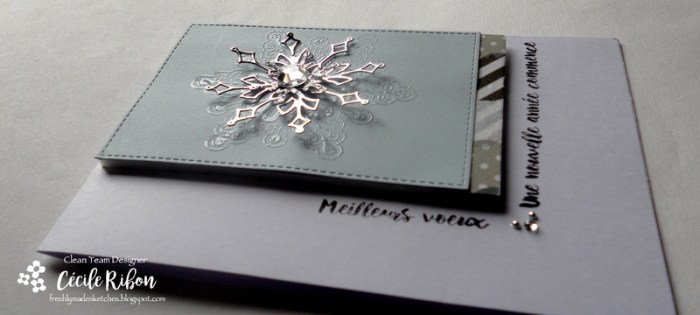 carte-fms267-dscn7615