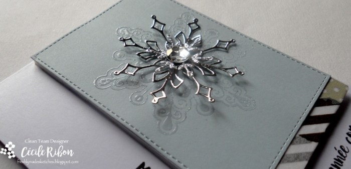 carte-fms267-dscn7617