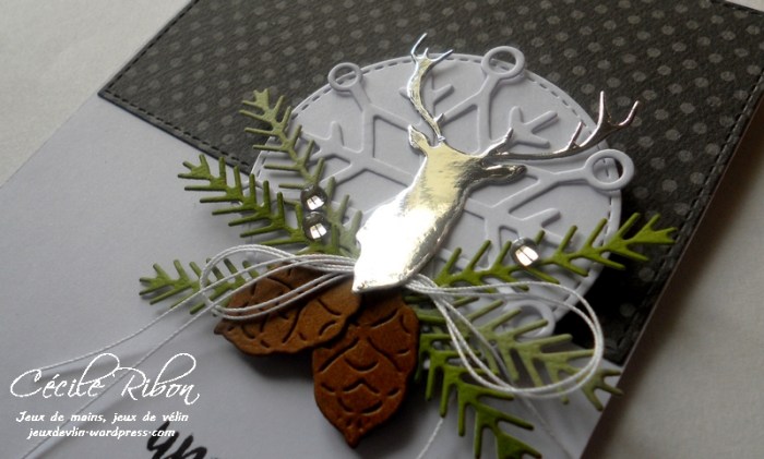 carte-fusion8-dscn7593