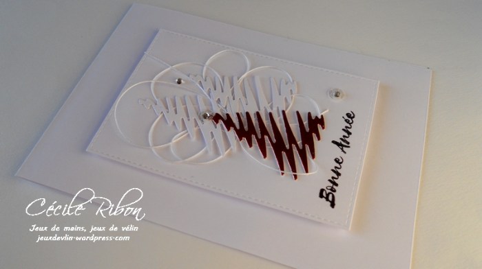 carte-jugs372-dscn7542