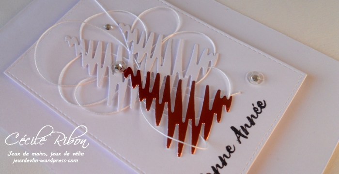 carte-jugs372-dscn7545