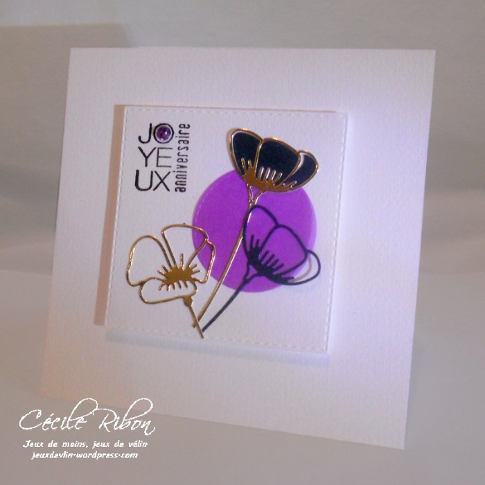 carte-jugs374-dscn7838