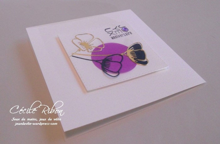 carte-jugs374-dscn7840