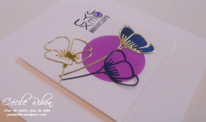 carte-jugs374-dscn7843