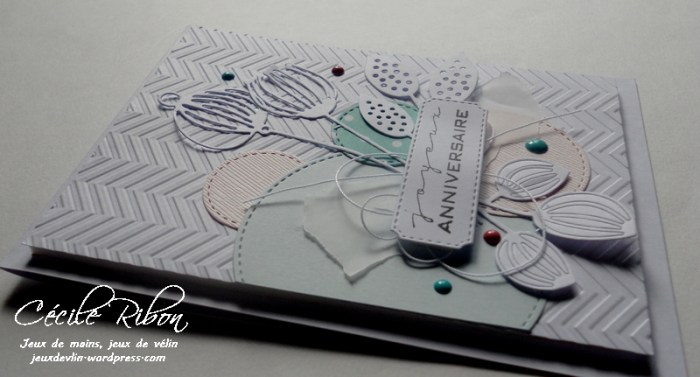 carte-ctd427-dscn8617