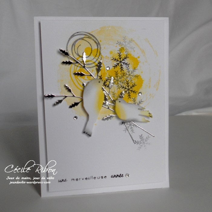 carte-daniele-dscn8200