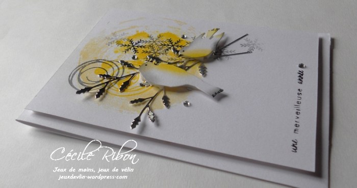 carte-daniele-dscn8205