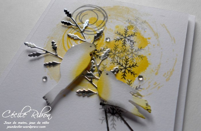 carte-daniele-dscn8211