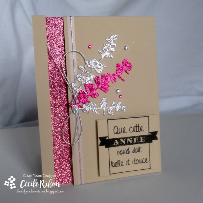 carte-fms269-dscn8074