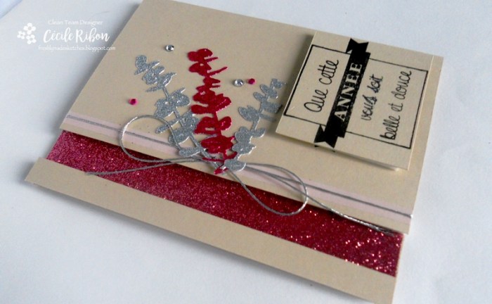 carte-fms269-dscn8078