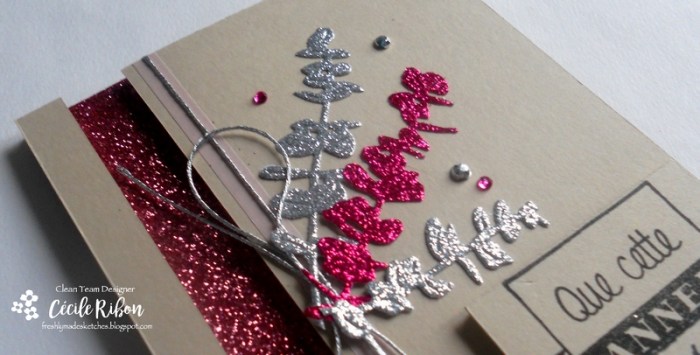 carte-fms269-dscn8081