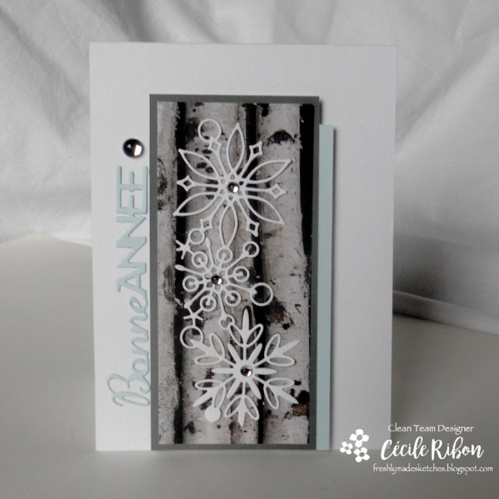 carte-fms270-dscn8124