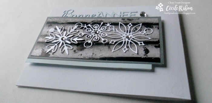 carte-fms270-dscn8131