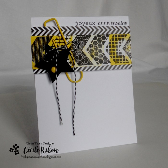 Carte FMS271 - DSCN8279.JPG