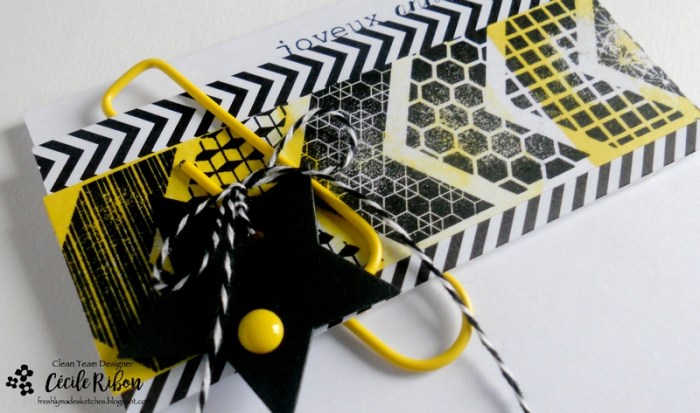 carte-fms271-dscn8294