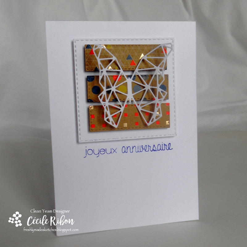 carte-fms273-dscn8659